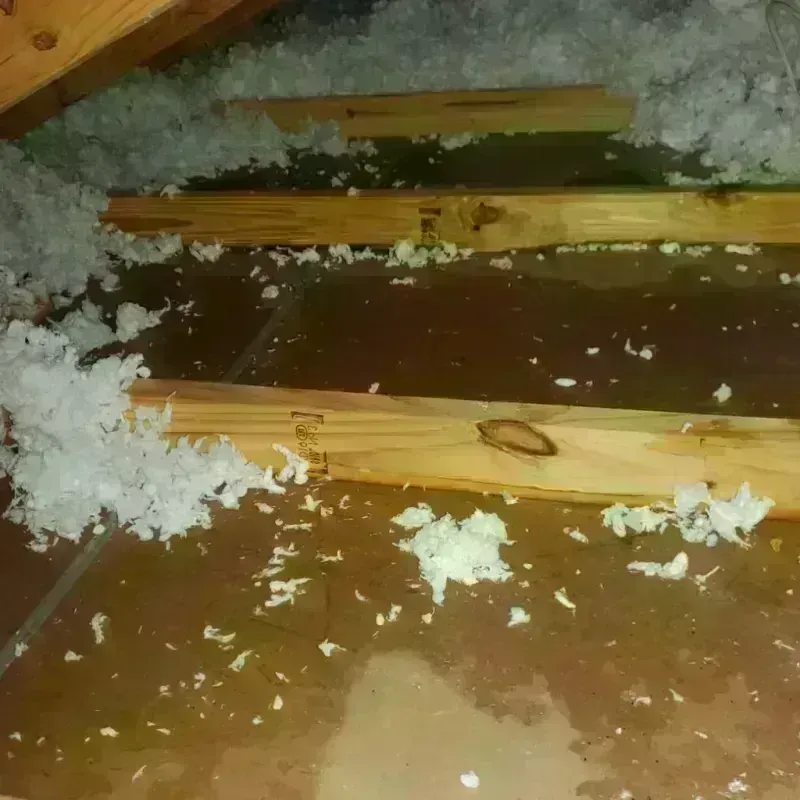 Attic Water Damage in Castro Valley, CA